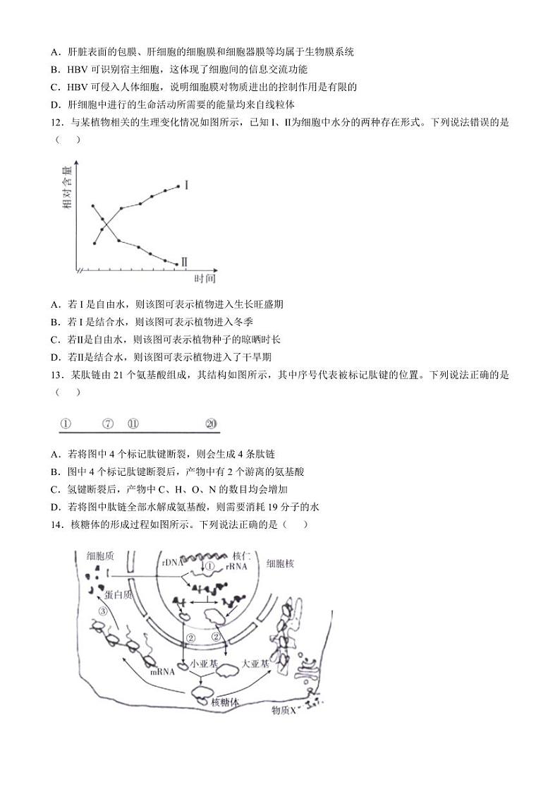 福建省宁德市部分达标学校2024-2025学年高一上学期11月期中质量监测生物试题第3页