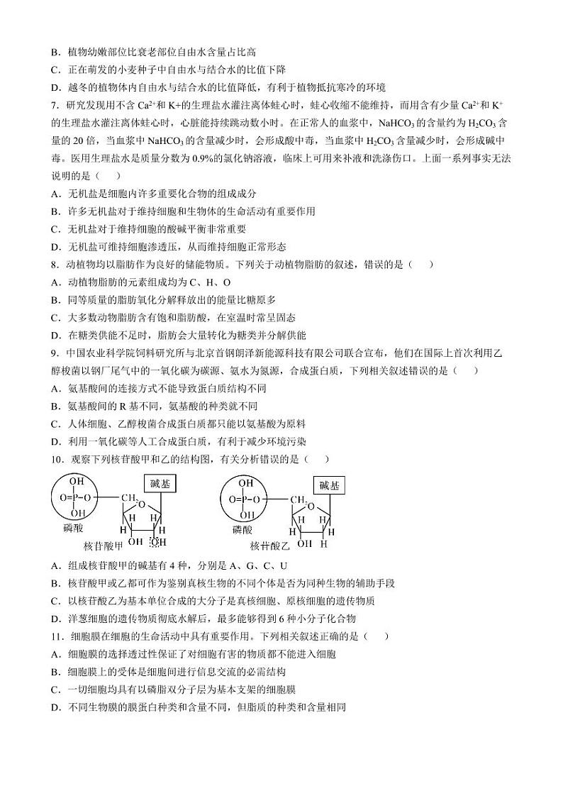安徽省蚌埠市A层高中2024-2025学年高一上学期11月期中考试 生物 Word版含答案第2页