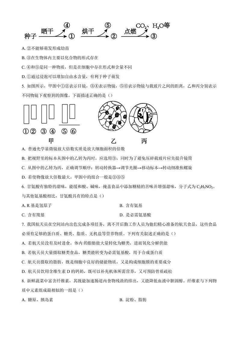 安徽省滁州市九校联考2024-2025学年高一上学期11月期中考试 生物（含答案）第2页