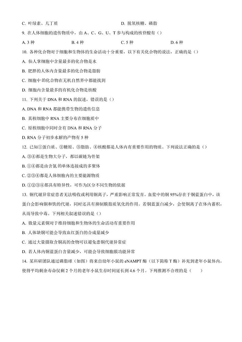 安徽省滁州市九校联考2024-2025学年高一上学期11月期中考试 生物（含答案）第3页