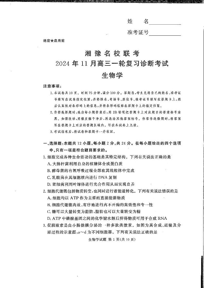 生物-湖南（河南）省湘豫名校联考2024年11月2025届高三上学期一轮复习诊断考试暨期中考试第1页