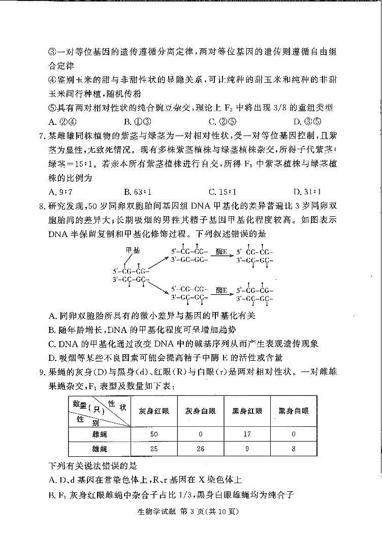 生物-湖南（河南）省湘豫名校联考2024年11月2025届高三上学期一轮复习诊断考试暨期中考试第3页