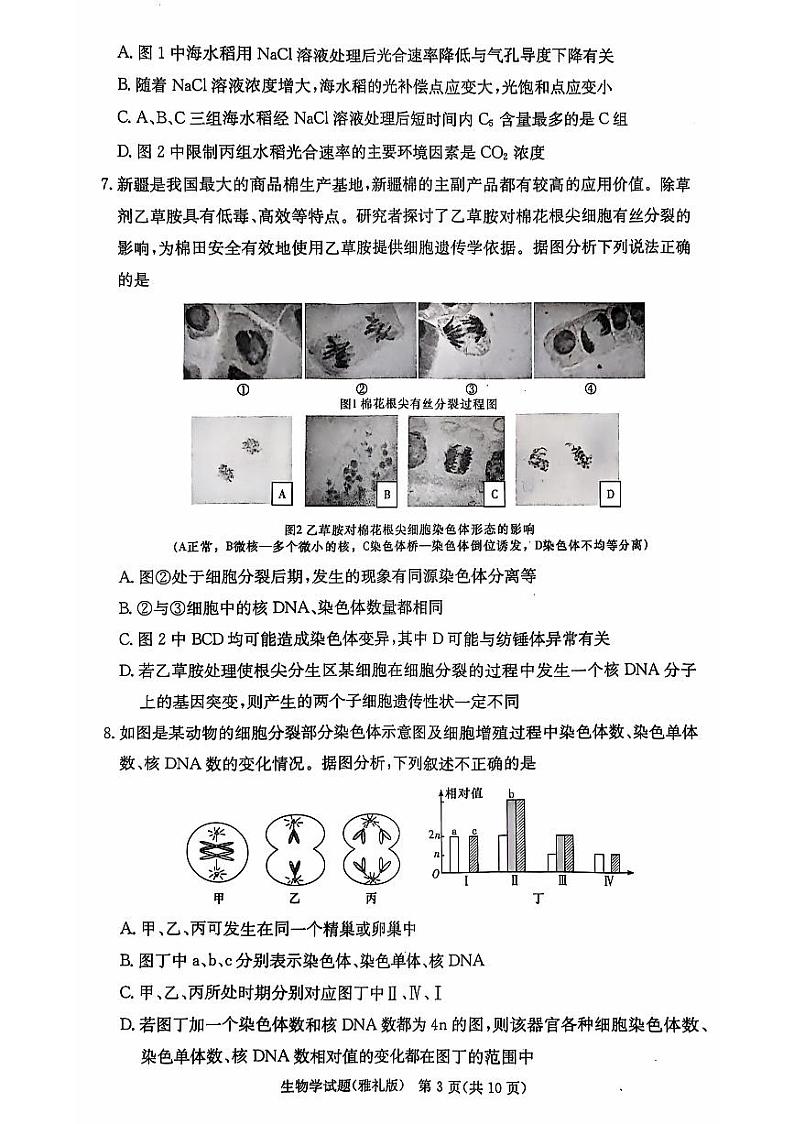 生物-湖南省长沙市雅礼中学2024-2025学年高三上学期月考（三）第3页