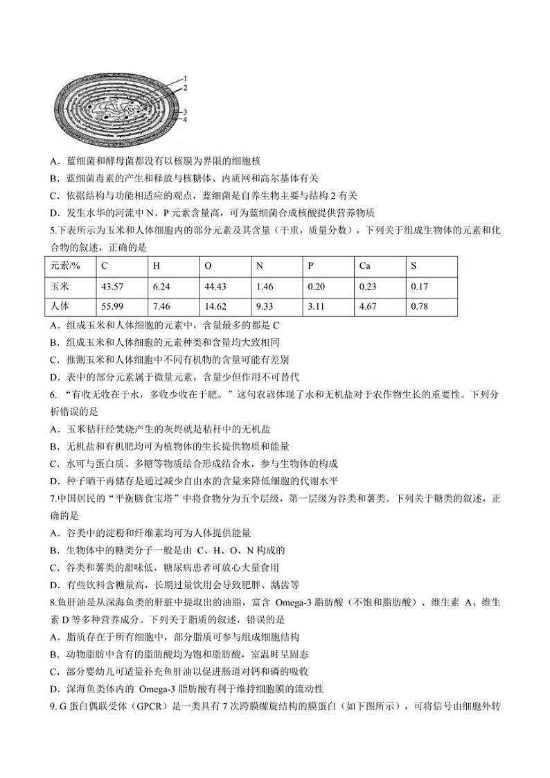 2024～2025学年河南省部分学校高一(上)期中联考生物试卷(含答案)第2页