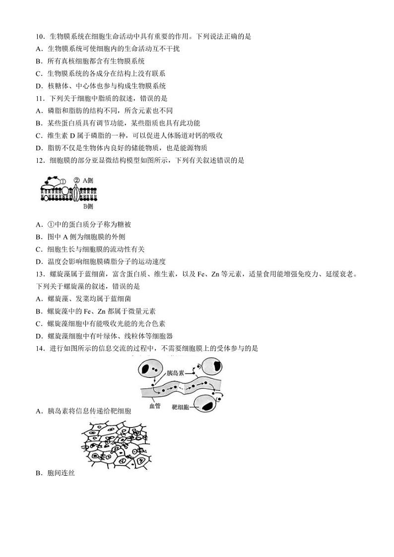 2024～2025学年内蒙古赤峰市名校高一(上)期中联考生物试卷(含答案)第2页