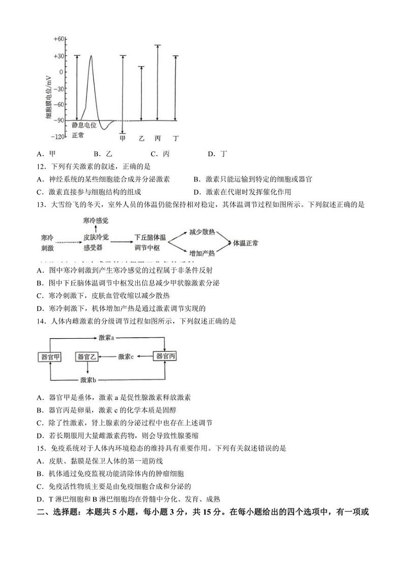 2024～2025学年内蒙古自治区赤峰市名校高二(上)期中联考生物试卷(含答案)第3页