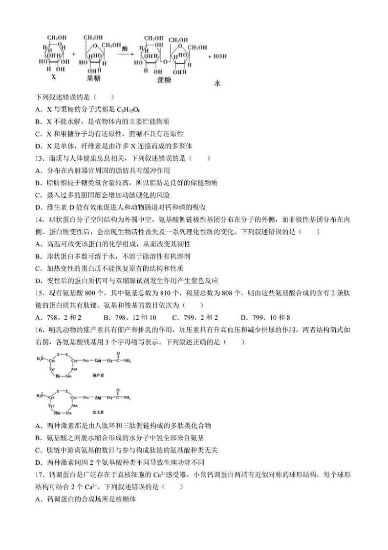 2024～2025学年安徽省合肥市第一中学高一(上)期中联考生物试卷(含答案)第3页