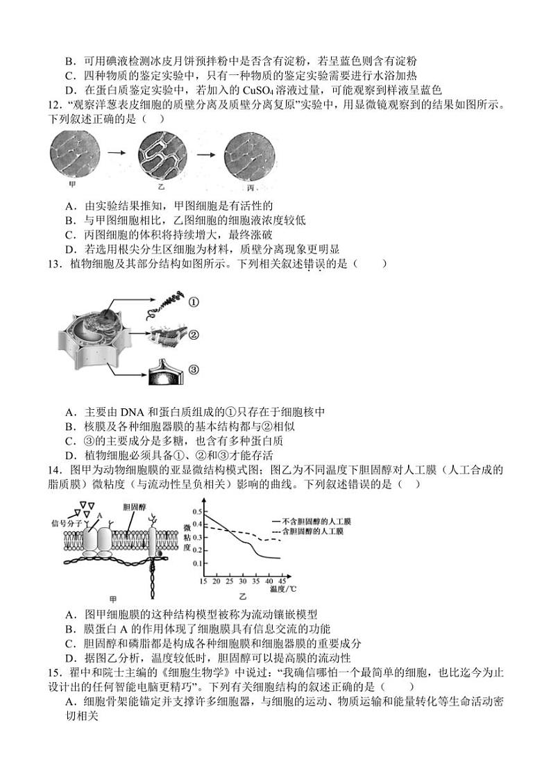 2024～2025学年四川省泸州市泸县第五中学高一(上)期中生物试卷(含答案)第3页