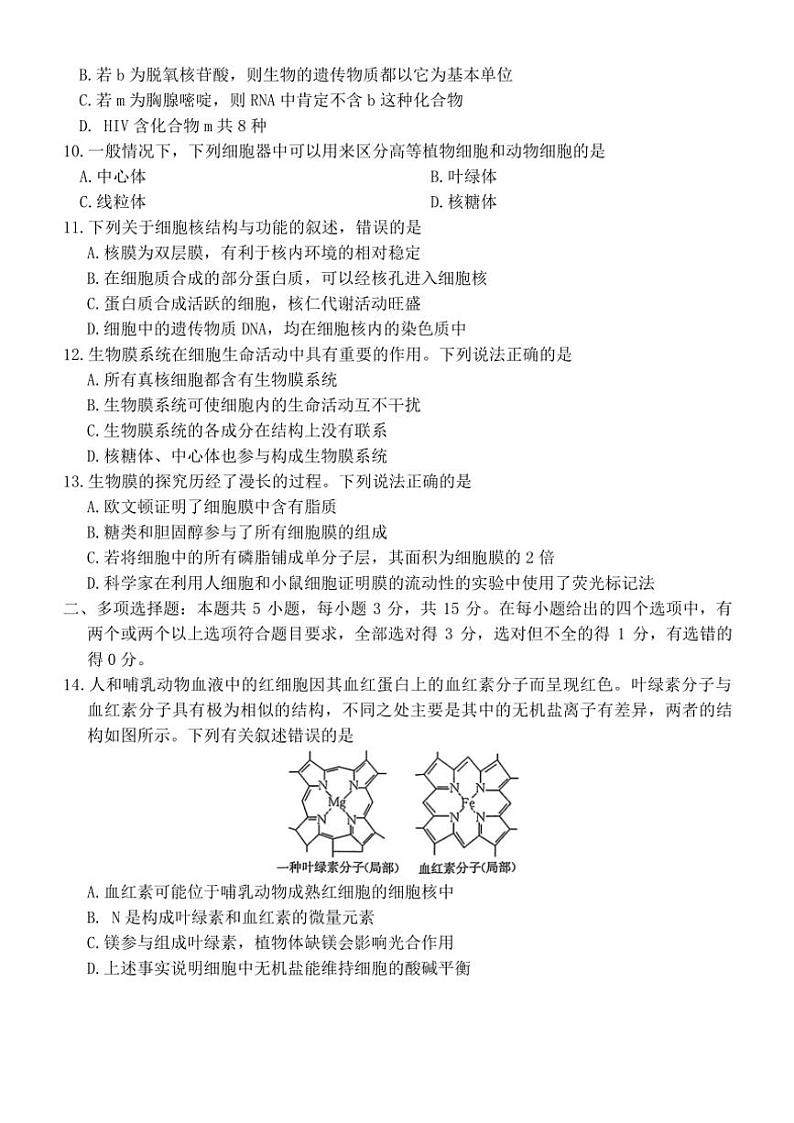 2024～2025学年河北省唐山市部分学校高一(上)期中联考生物试卷(含答案)第3页