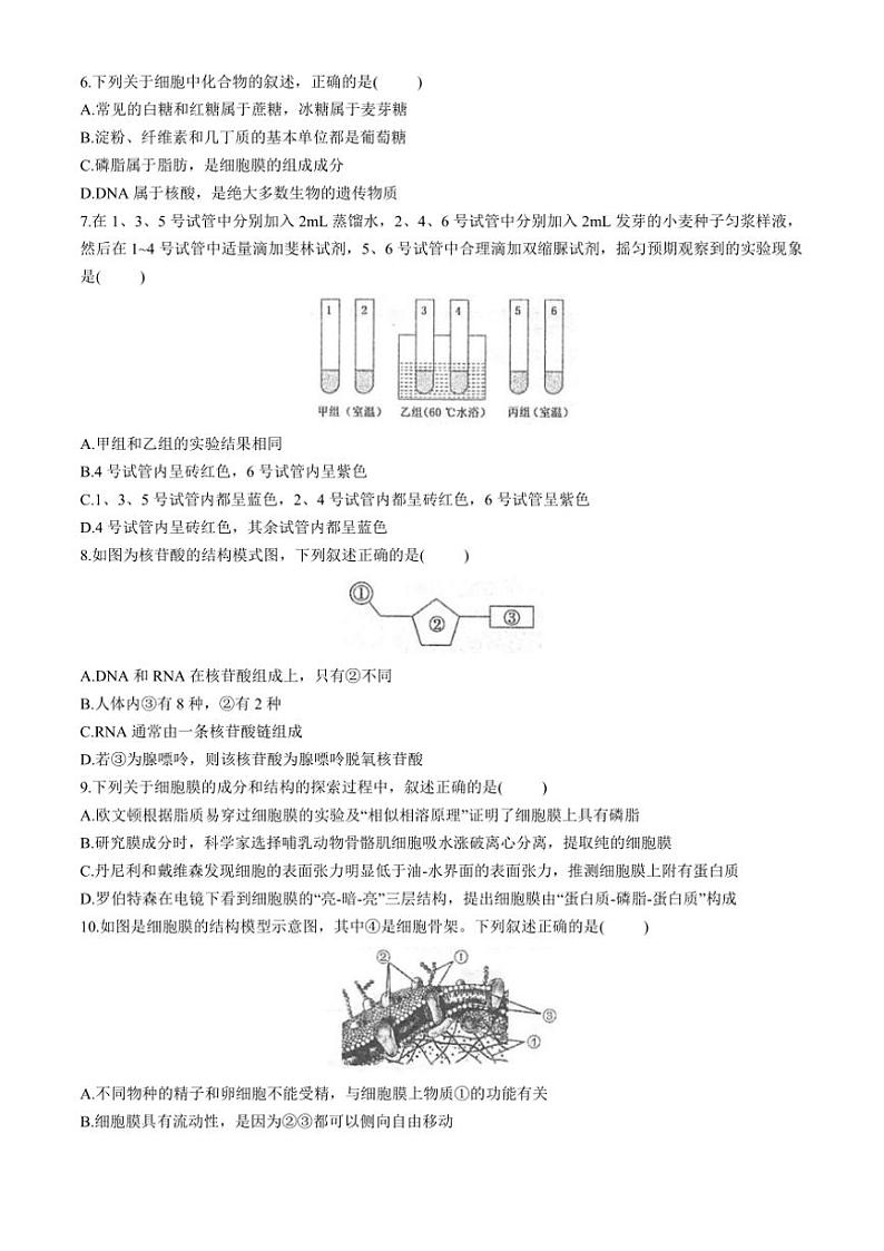 2024～2025学年江苏省泰州市海陵区江苏省泰州中学高一(上)期中生物试卷(含答案)第2页