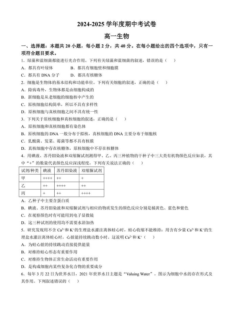 2024～2025学年内蒙古赤峰元宝山区第一中学高一(上)期中生物试卷(含答案)第1页