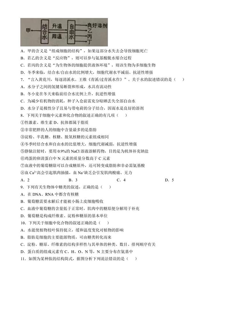 2024～2025学年内蒙古赤峰元宝山区第一中学高一(上)期中生物试卷(含答案)第2页