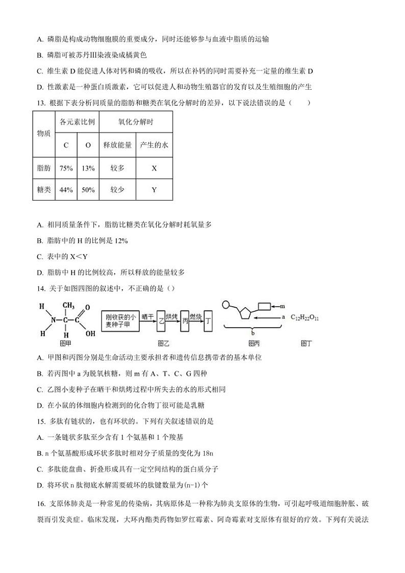 2024～2025学年重庆市荣昌中学高一(上)期中生物试卷(含答案)第3页