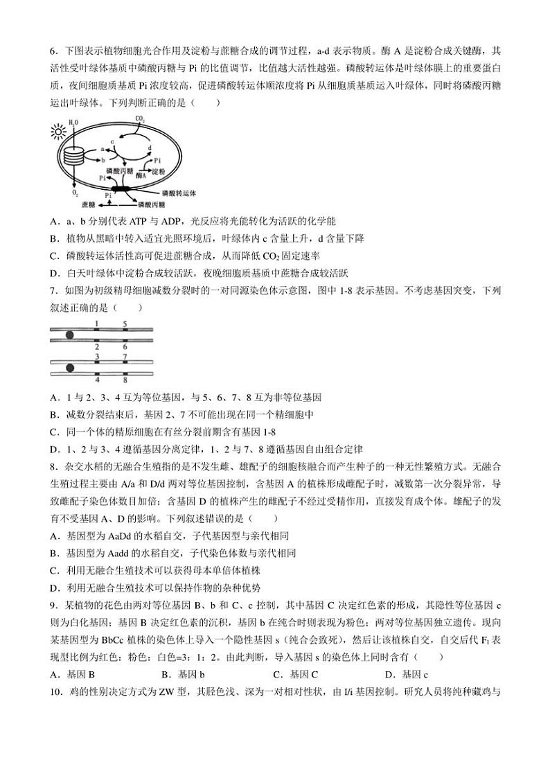 2024～2025学年四川省广安友谊中学高三(上)10月月考生物试卷(含答案)第2页