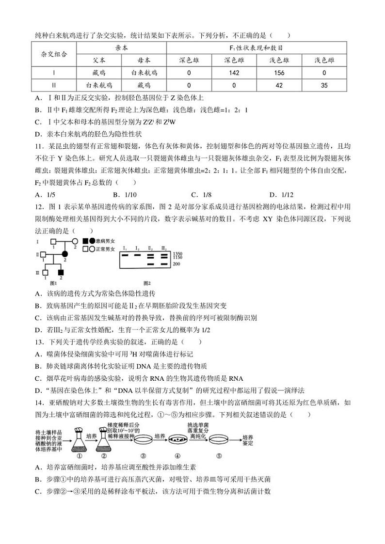 2024～2025学年四川省广安友谊中学高三(上)10月月考生物试卷(含答案)第3页