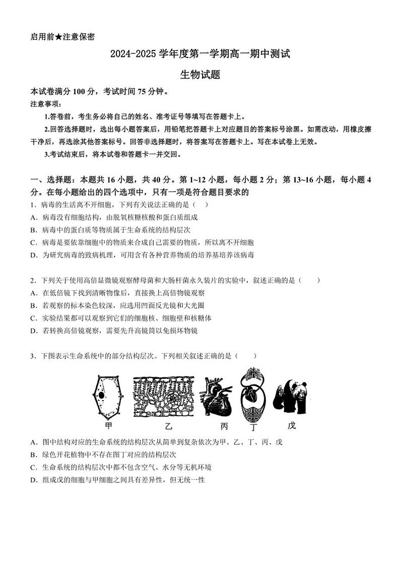 2024～2025学年广东省阳江市高新区高一(上)期中生物试卷(含答案)第1页