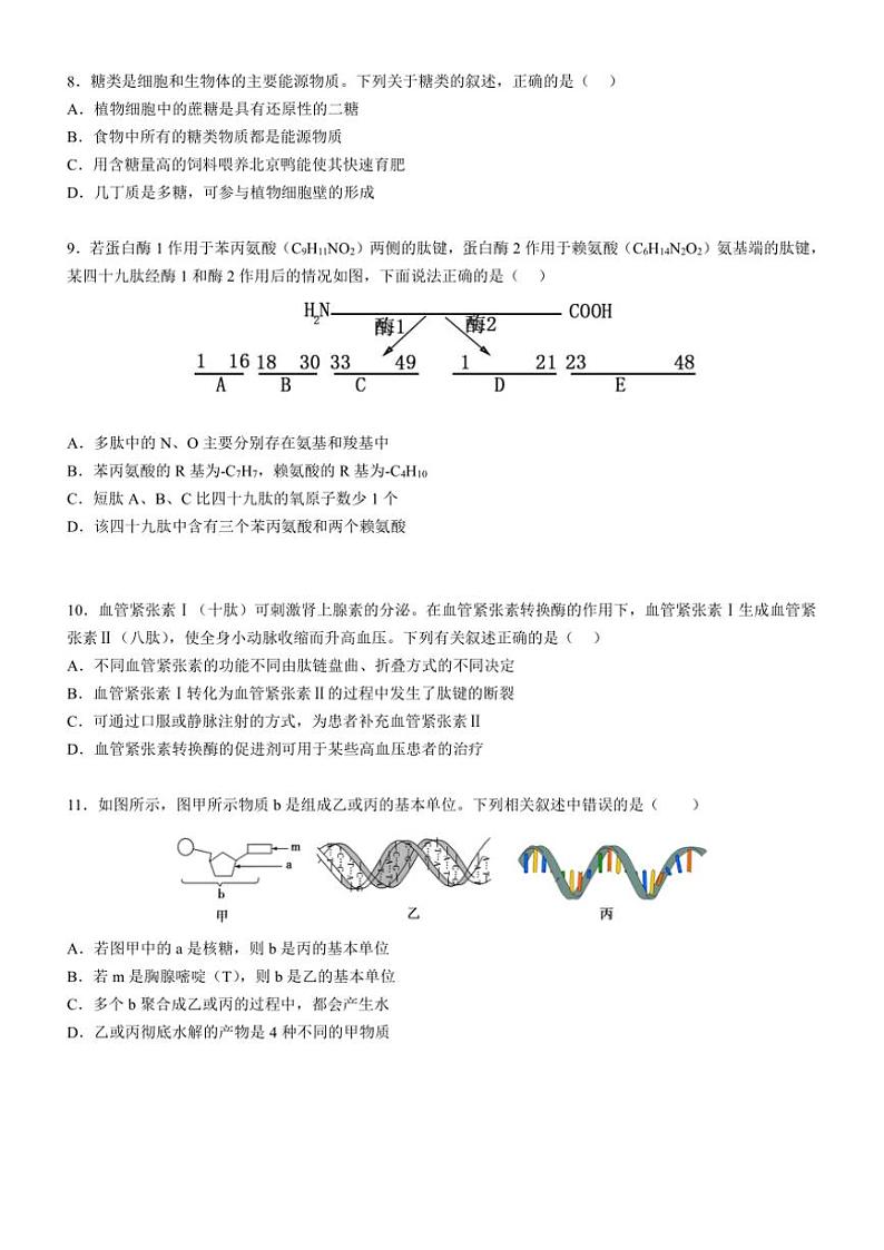 2024～2025学年广东省阳江市高新区高一(上)期中生物试卷(含答案)第3页