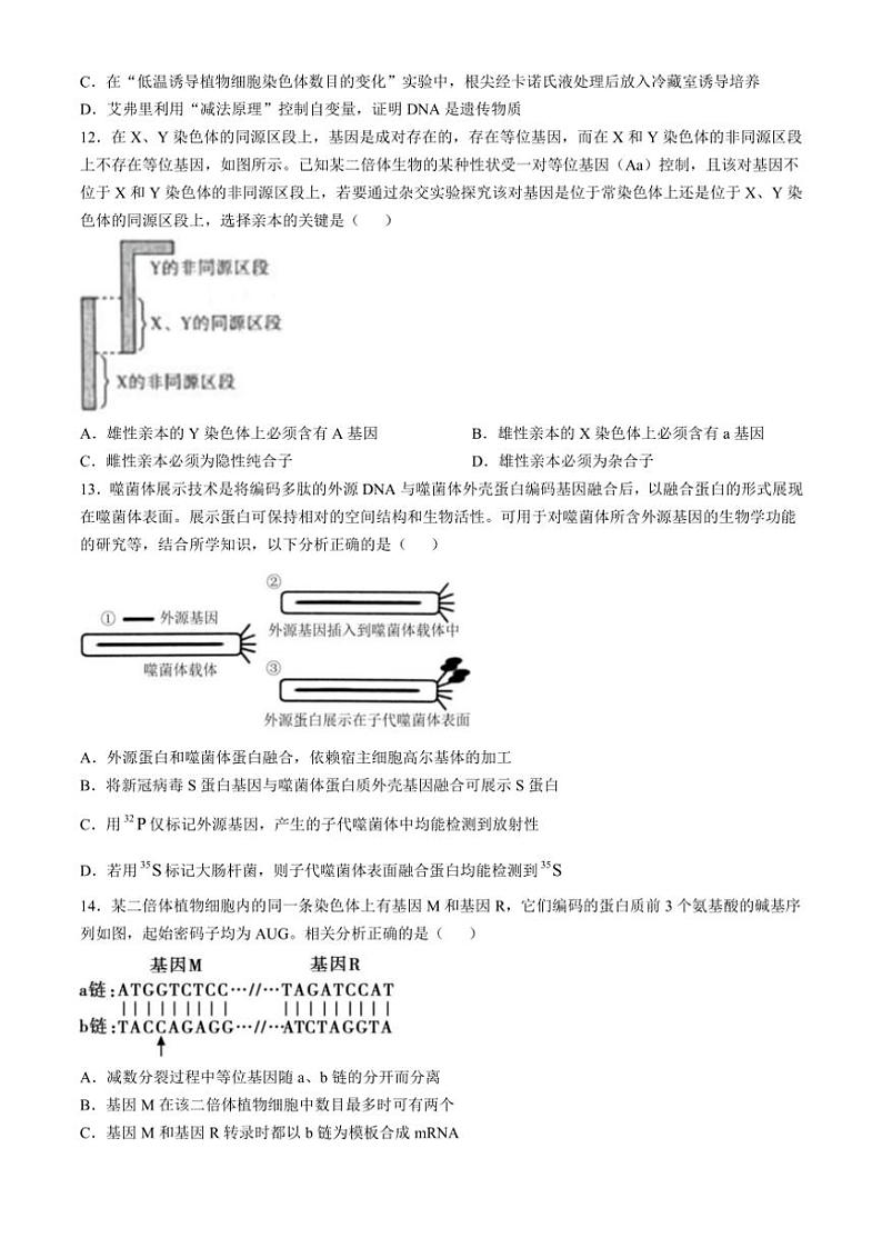 2024～2025学年福建省莆田第一中学高二(上)期中生物试卷(含解析)第3页