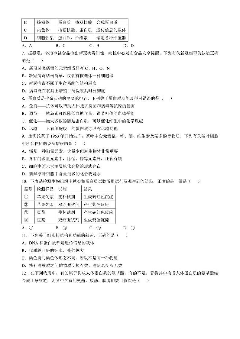 福建省福州市山海联盟教学协作体2024-2025学年高一上学期11月期中生物试题（含答案）第2页