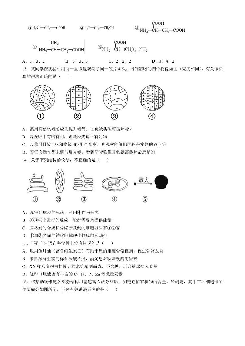 福建省福州市山海联盟教学协作体2024-2025学年高一上学期11月期中生物试题（含答案）第3页