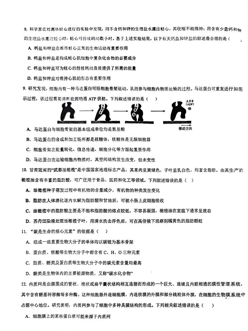 海南省先锋联盟2024-2025学年高一上学期11月期中考试 生物 PDF版含答案第3页