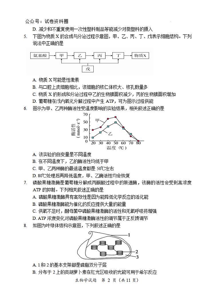 生物-黑龙江省龙东联盟2024-2025学年高三上学期11月月考第2页