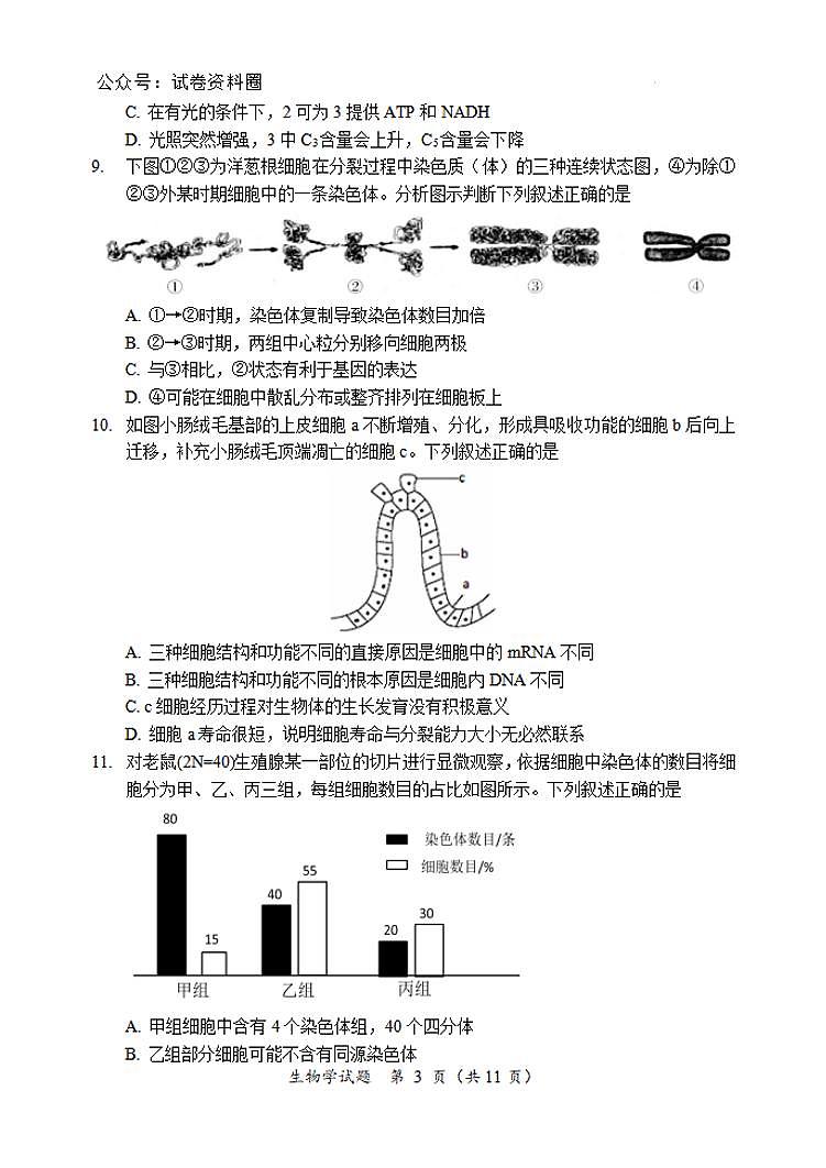 生物-黑龙江省龙东联盟2024-2025学年高三上学期11月月考第3页