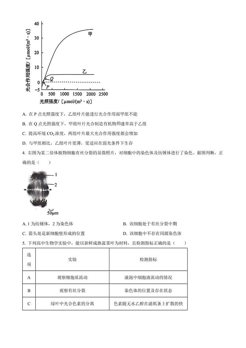 生物-北京市朝阳区2024-2025学年高三上学期期中考试第2页