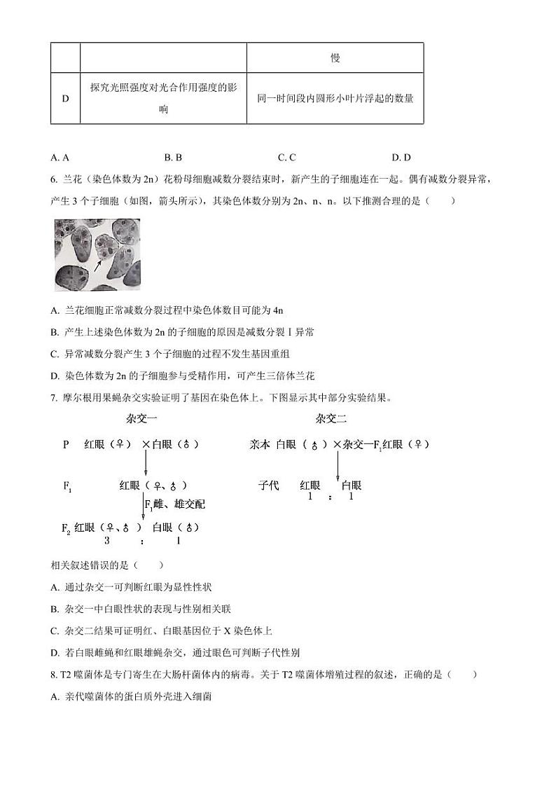 生物-北京市朝阳区2024-2025学年高三上学期期中考试第3页
