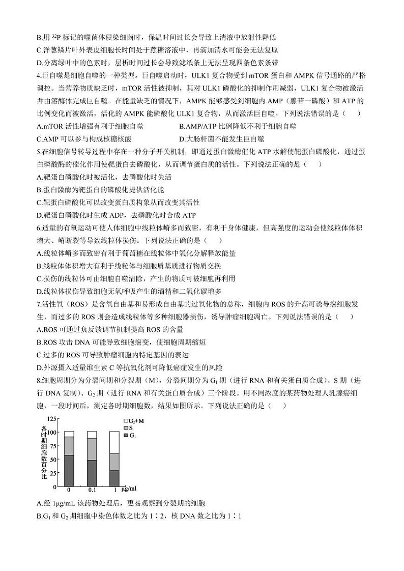 生物-山东省德州市2024-2025学年高三上学期期中考试第2页