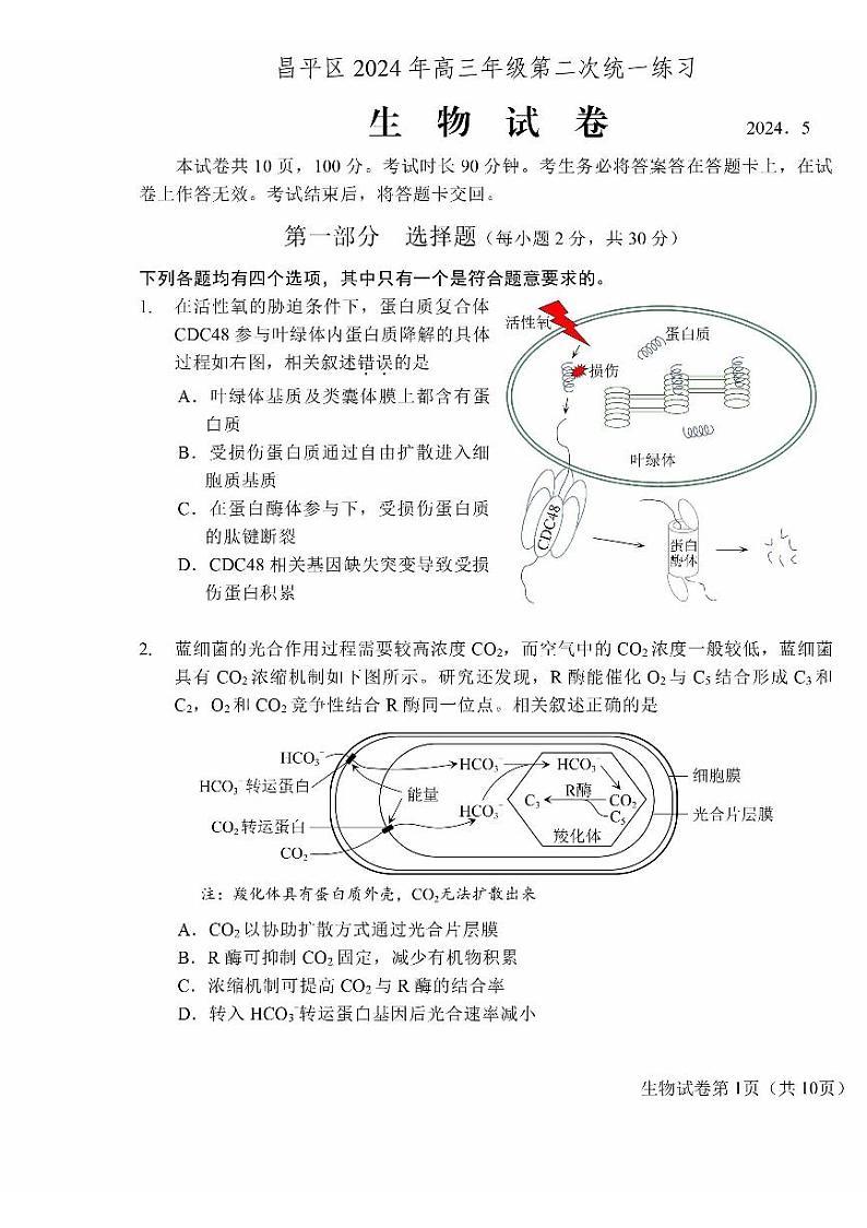 2024北京昌平高三二模生物试题及答案第1页