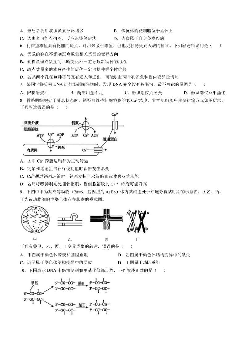浙江省91高中联盟2024～2025学年高三(上)期中生物试卷(含答案)第2页