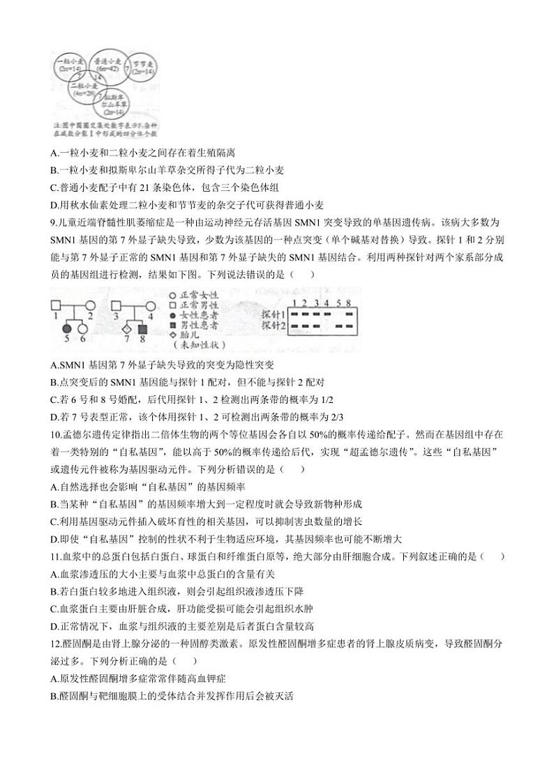 山东省日照市2024～2025学年高三(上)期中生物试卷(含答案)第3页