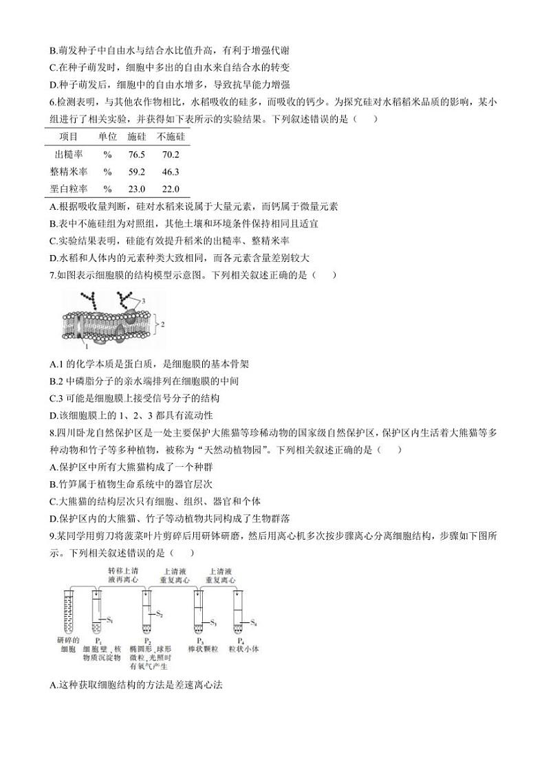 四川省部分学校2024～2025学年高一上期期中调研测试生物试卷(含解析)第2页