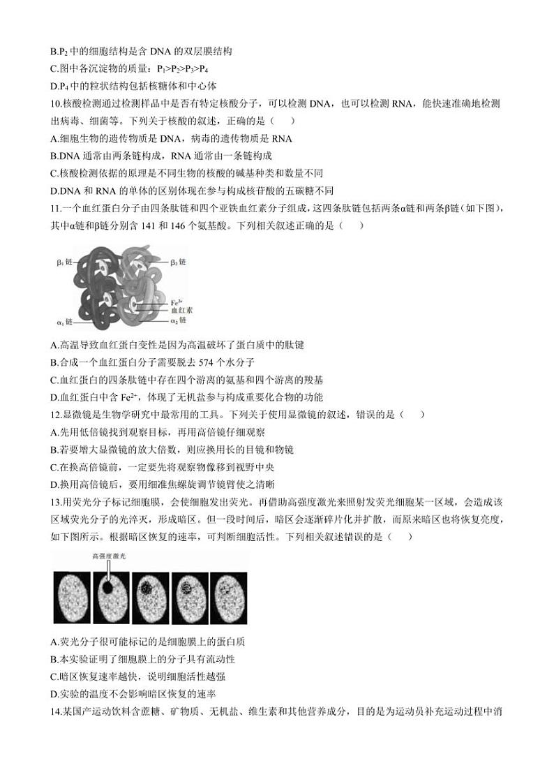 四川省部分学校2024～2025学年高一上期期中调研测试生物试卷(含解析)第3页