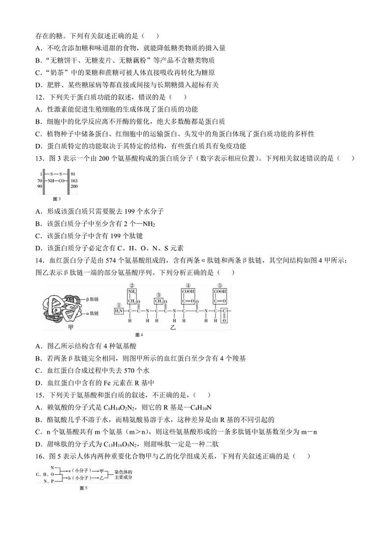 云南省大理白族自治州祥云县第一中学2024～2025学年高一(上)期中检测生物试卷(含解析)第3页