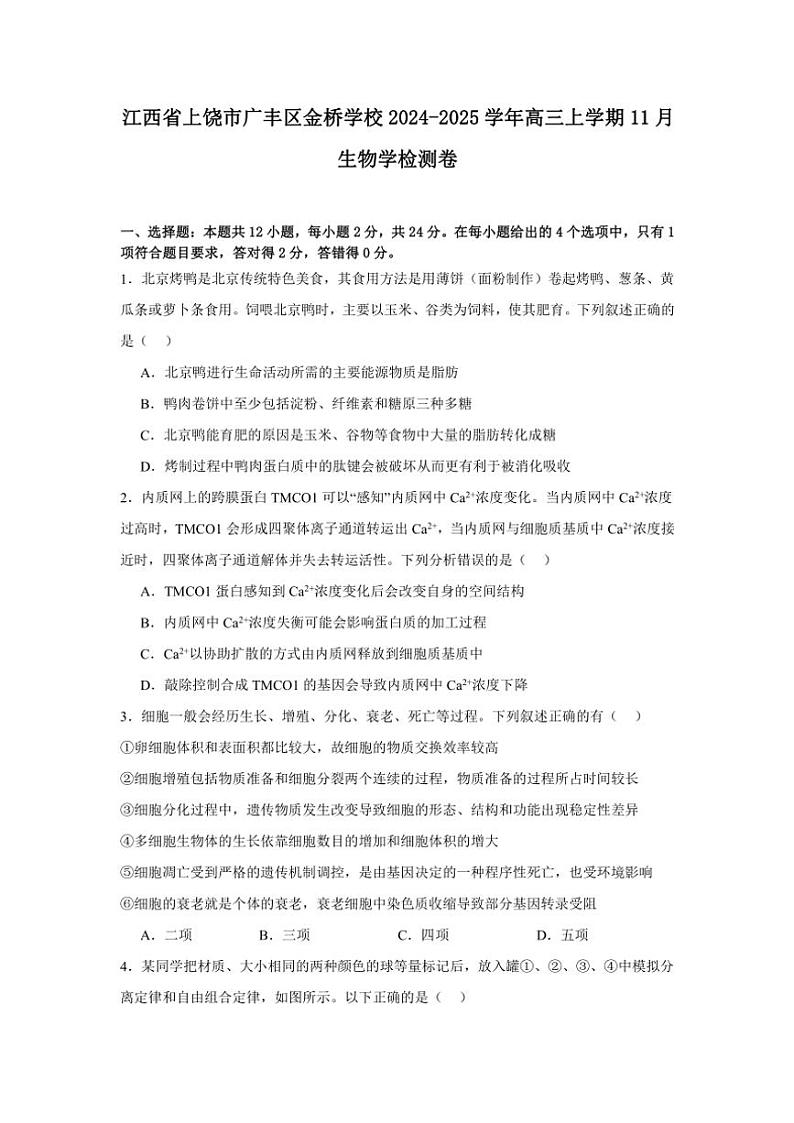 江西省上饶市广丰区金桥学校2024～2025学年高三(上)11月生物检测卷(含答案)第1页