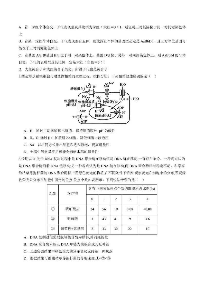 甘肃省天水市秦州区天水市第一中学2024～2025学年高三(上)11月月考生物试卷(含答案)第2页