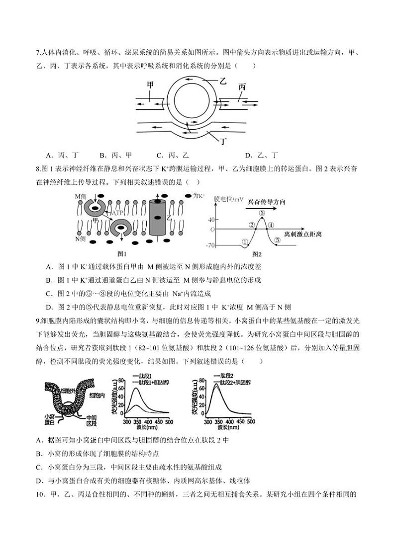 甘肃省天水市秦州区天水市第一中学2024～2025学年高三(上)11月月考生物试卷(含答案)第3页