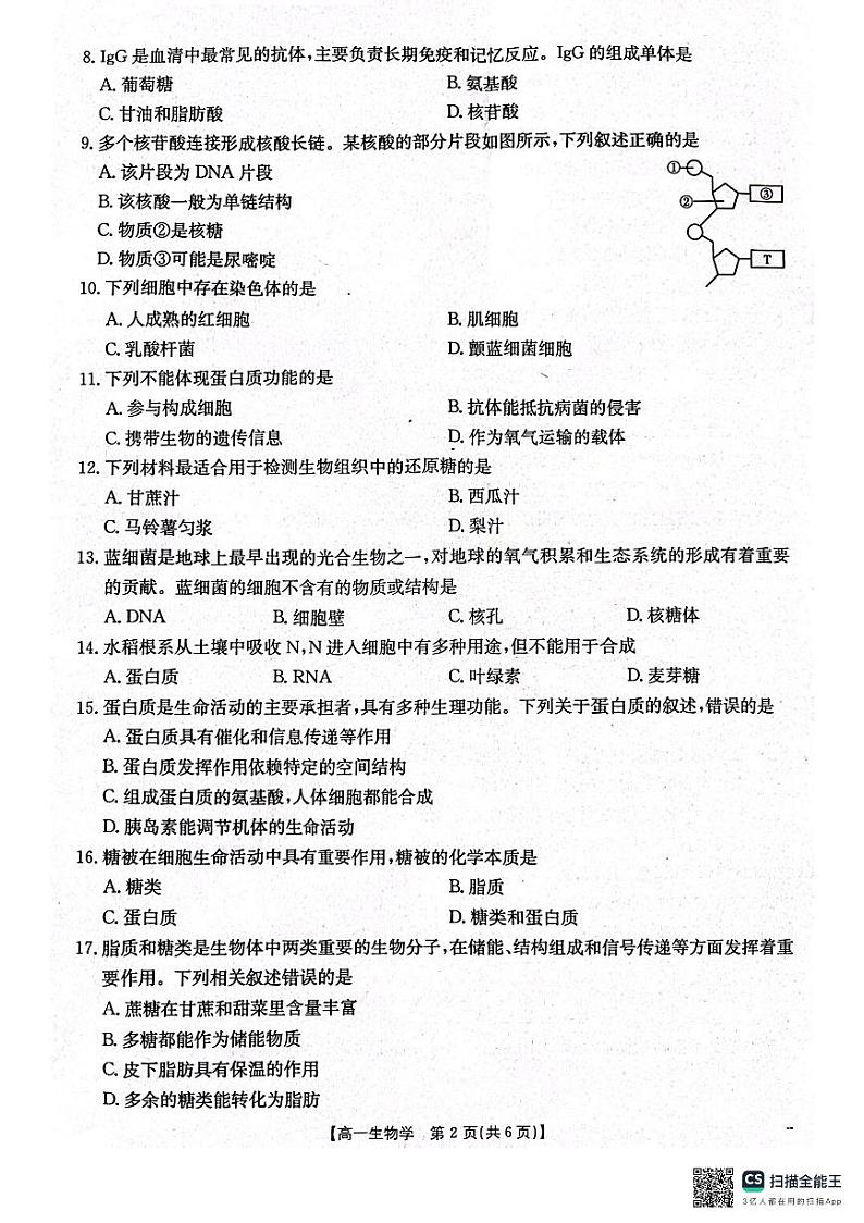 辽宁省辽阳市2024-2025学年高一上学期期中考试生物试卷02