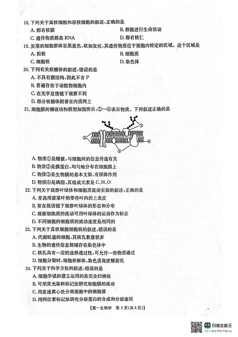 辽宁省辽阳市2024-2025学年高一上学期期中考试生物试卷03