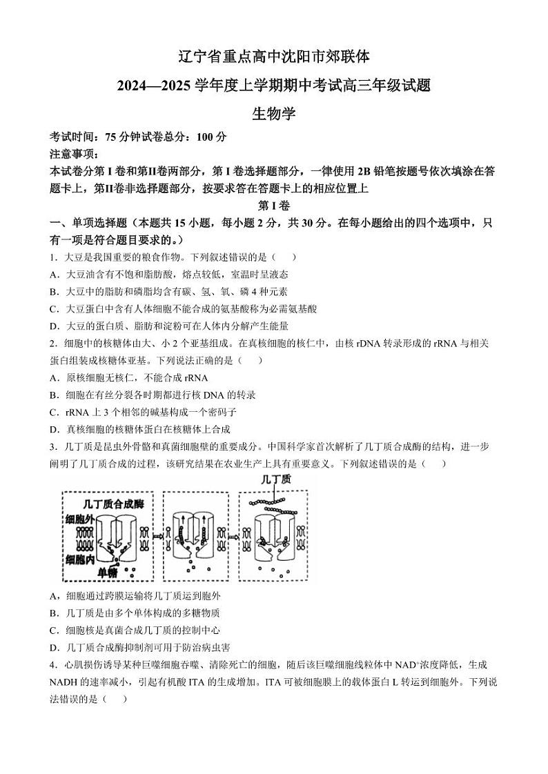 2025届辽宁省沈阳市郊联体高三上学期11月期中考-生物试卷+答案第1页