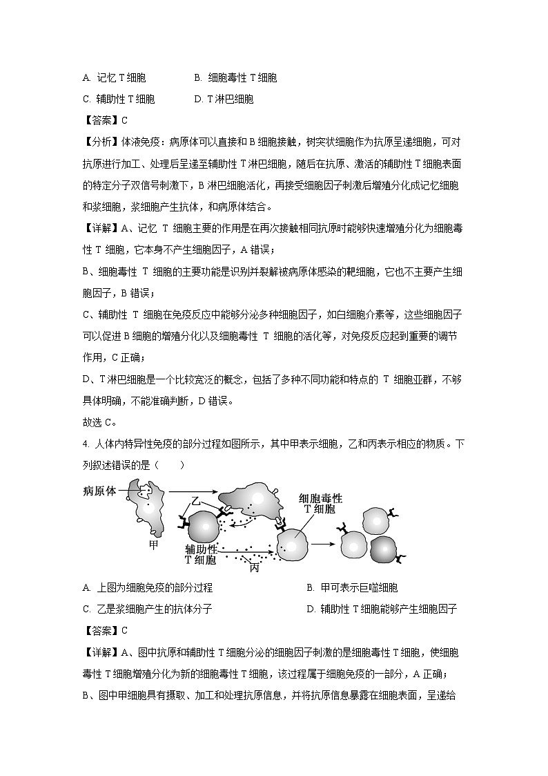 2024-2025学年福建省北大培文学校高二(上)10月月考生物试卷(解析版)第2页
