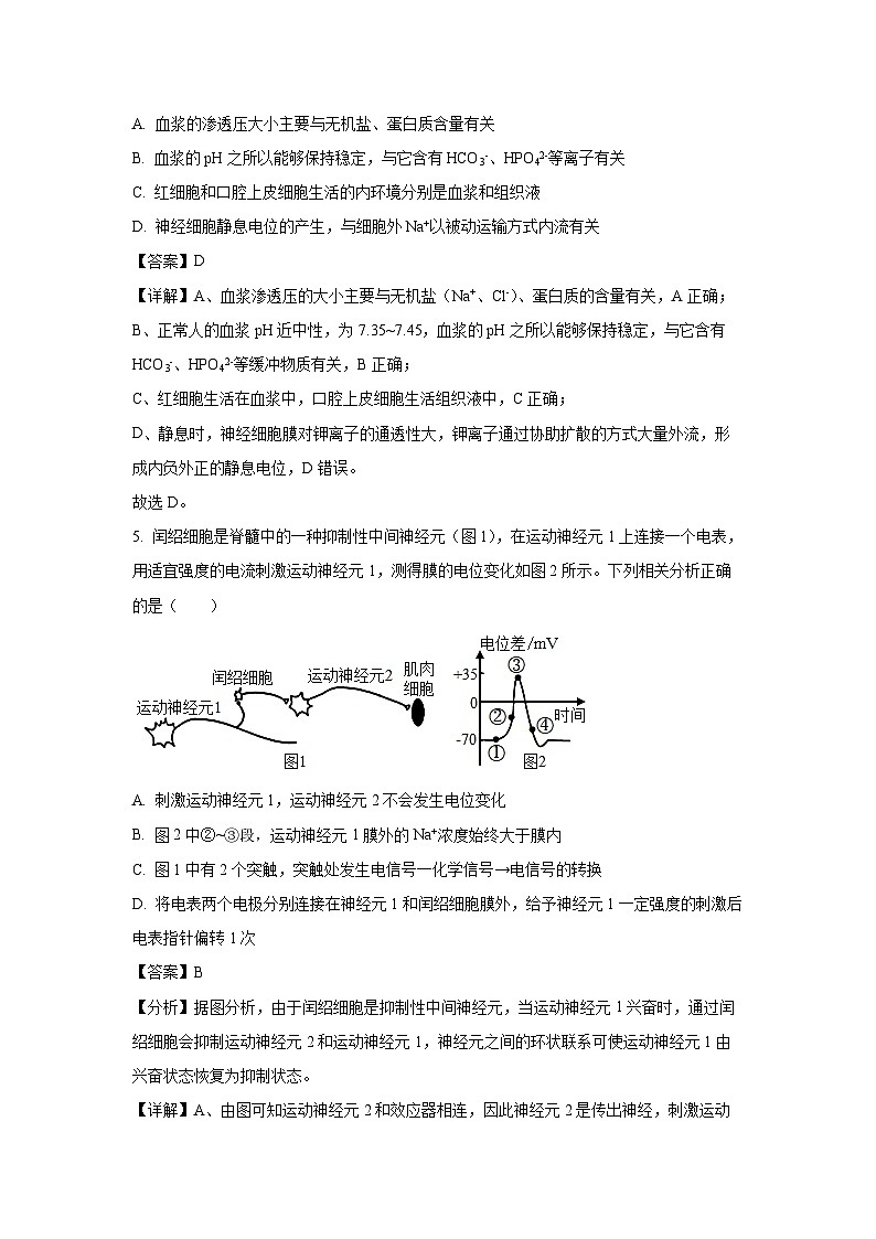 2024-2025学年河南省驻马店市经济开发区高二(上)10月月考生物试卷(解析版)第3页