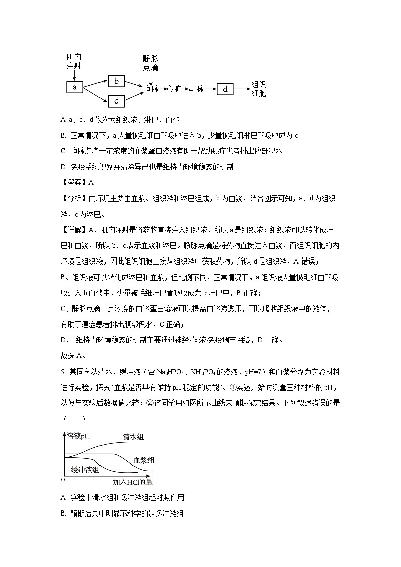 2024-2025学年江苏省无锡市滨湖区无锡市第一中学高二(上)11月期中生物试卷(解析版)第3页