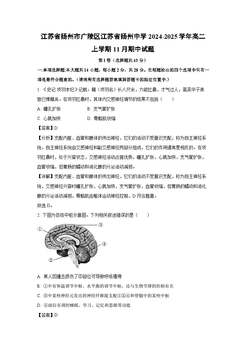 2024-2025学年江苏省扬州市广陵区江苏省扬州中学高二(上)11月期中生物试卷(解析版)第1页