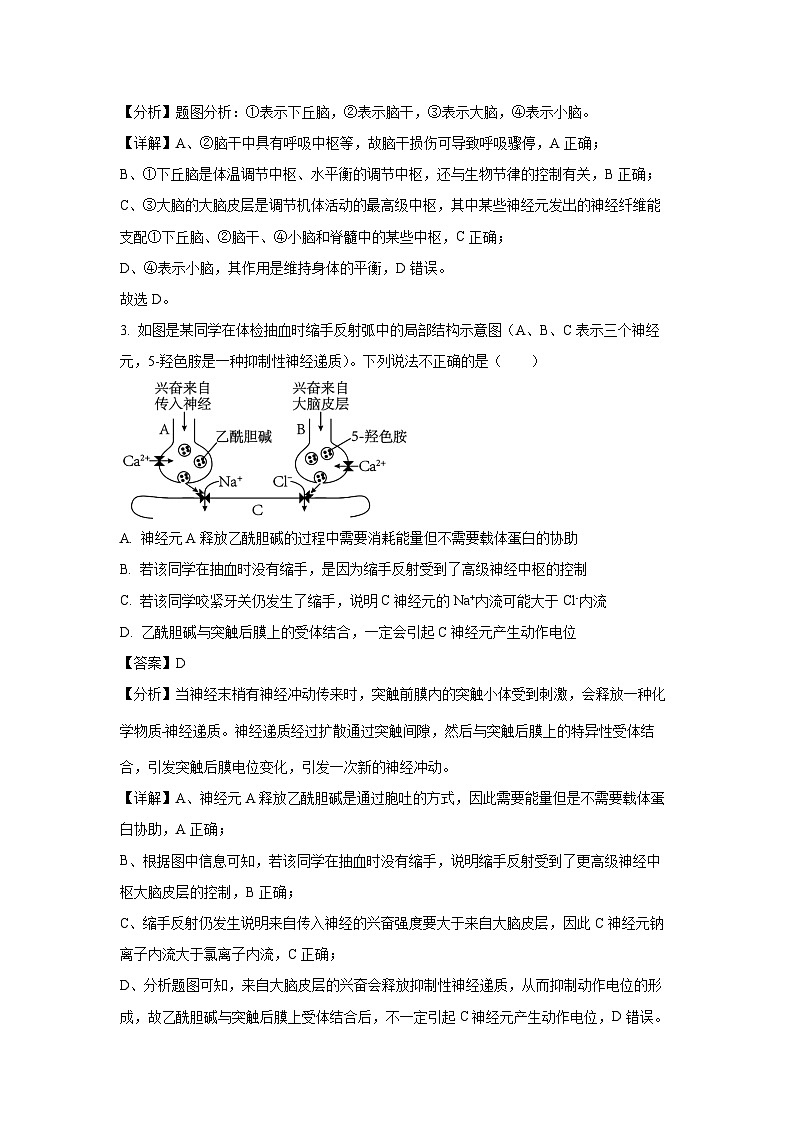2024-2025学年江苏省扬州市广陵区江苏省扬州中学高二(上)11月期中生物试卷(解析版)第2页