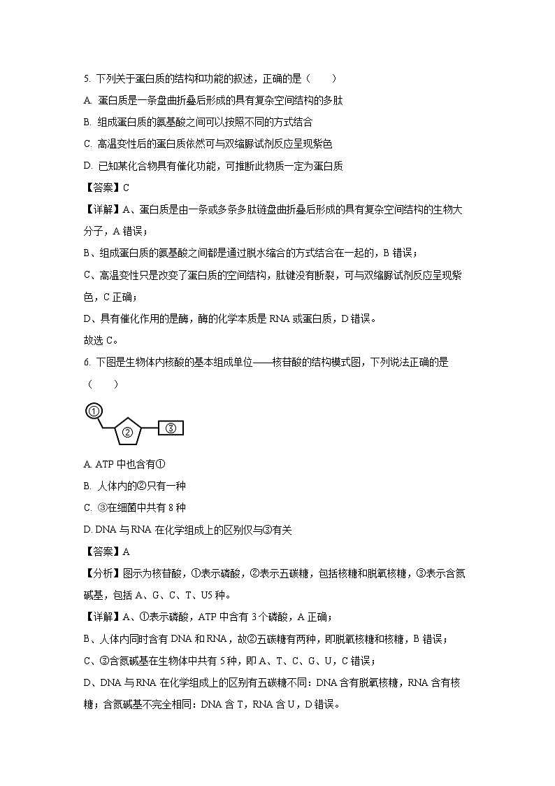 2024-2025学年江苏省徐州市铜山区高二(上)11月期中调研生物试卷(解析版)第3页