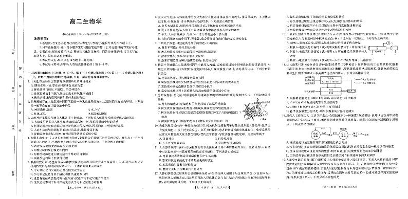 广东省名校联盟2024-2025学年高二上学期期中联合质量检测生物试题01