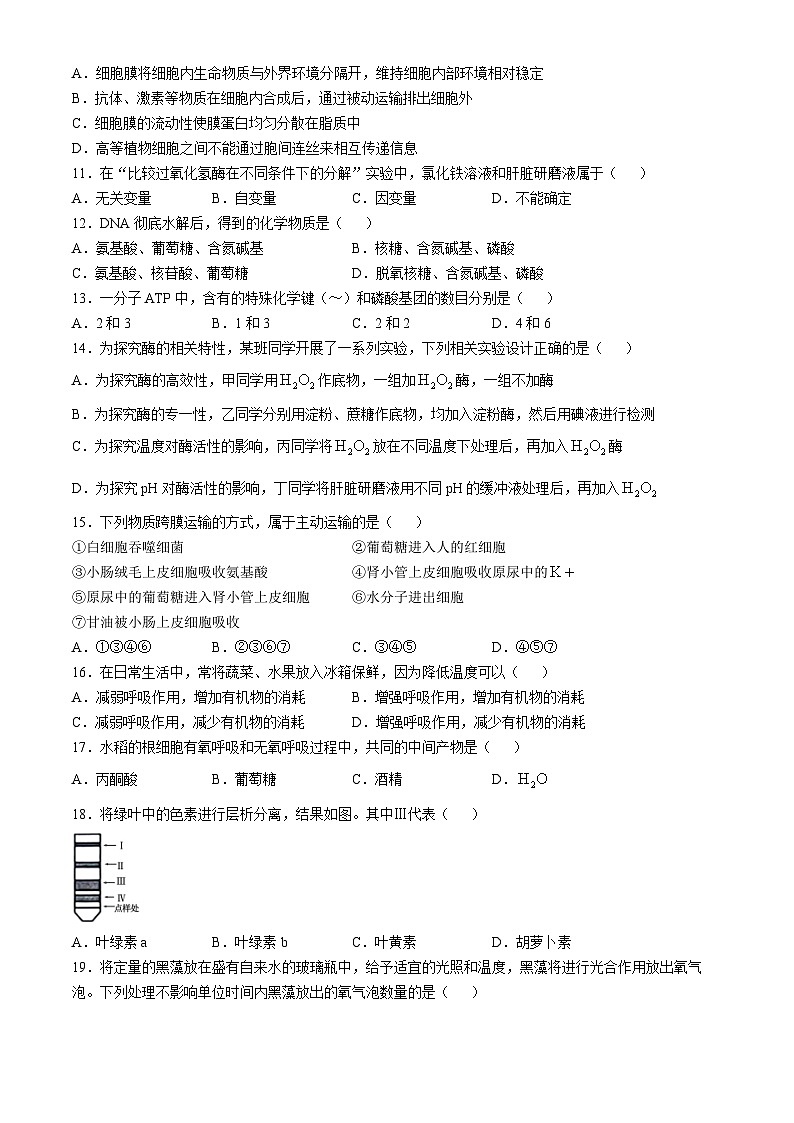 福建省三明市第一中学2024-2025学年高二上学期期中考试生物试题（学考班）第2页